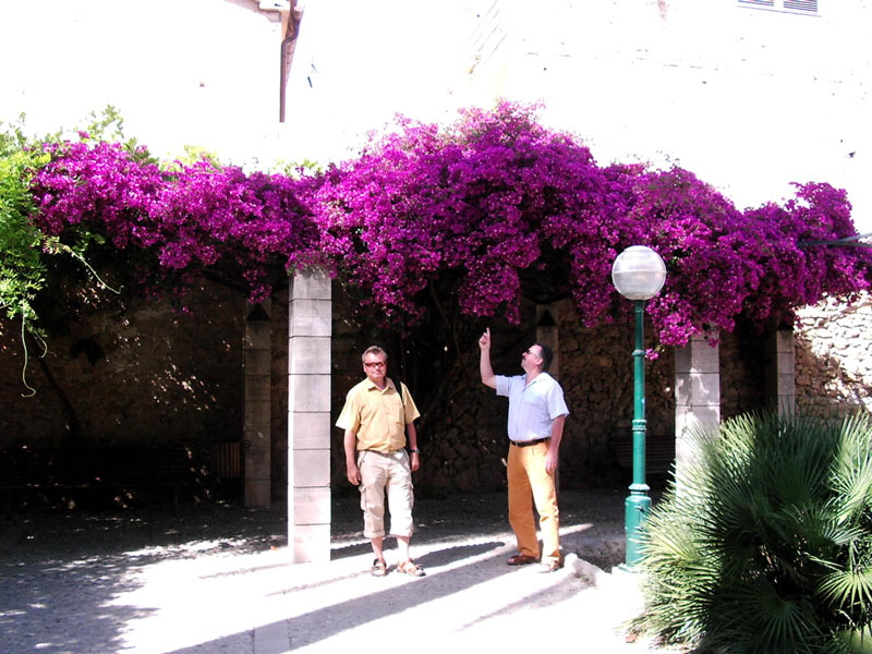 Mallorca